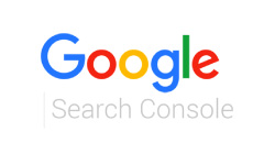 Google Sear console